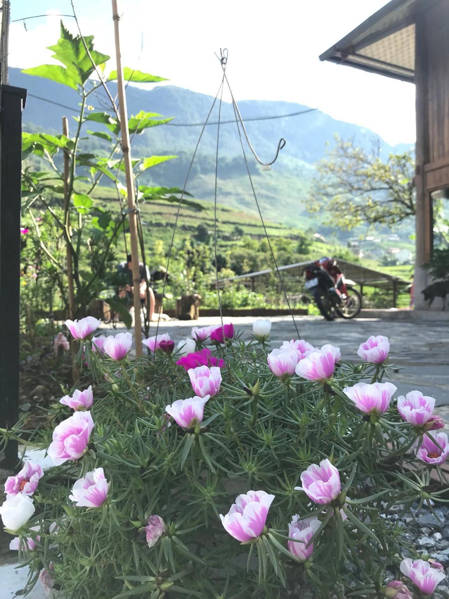 سابا Little Ta Van Homestay المظهر الخارجي الصورة